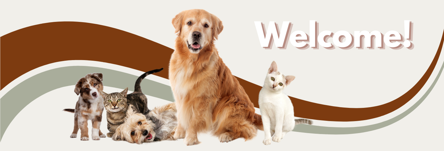 Wash. Sq. Vet Clinic gallery