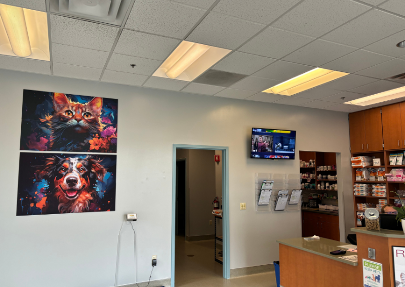 Wash. Sq. Vet Clinic gallery